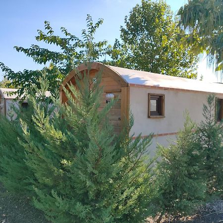 Finca Alarcos Valverde  Exterior photo